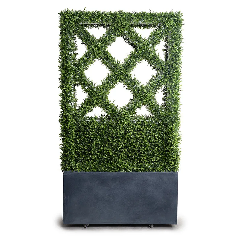 Boxwood Hedge Trellis Divider in 45" Planter - 80"H