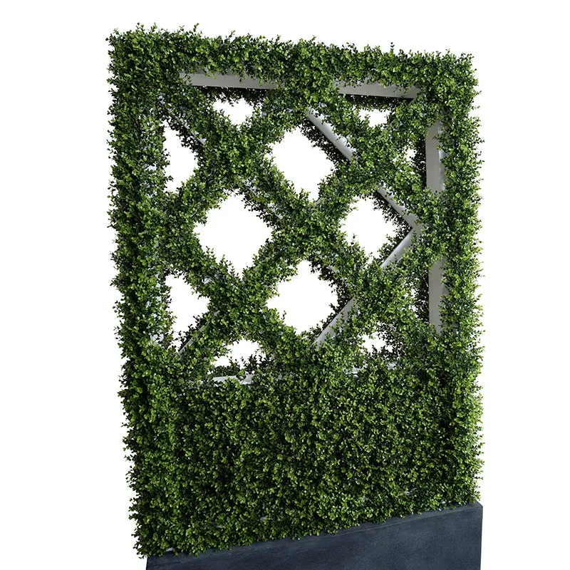 Boxwood Hedge Trellis Divider in 45" Planter - 80"H