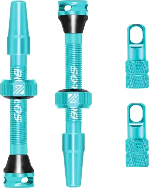 BUCKLOS Tubeless Presta Valve Stem 40/44/55/60/65/80/100 mm, Valve Stem Kit with Valve Core Removal Tool for Road Bike/Mountain Bike/MTB, Fit Most Bicycle Rims, Super Light Durable Aluminum Stem Blcak