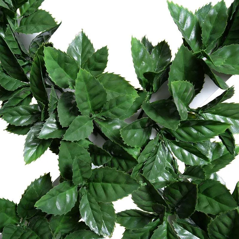 Ligustrum (Holly Leaf) Garden Trellis 42"
