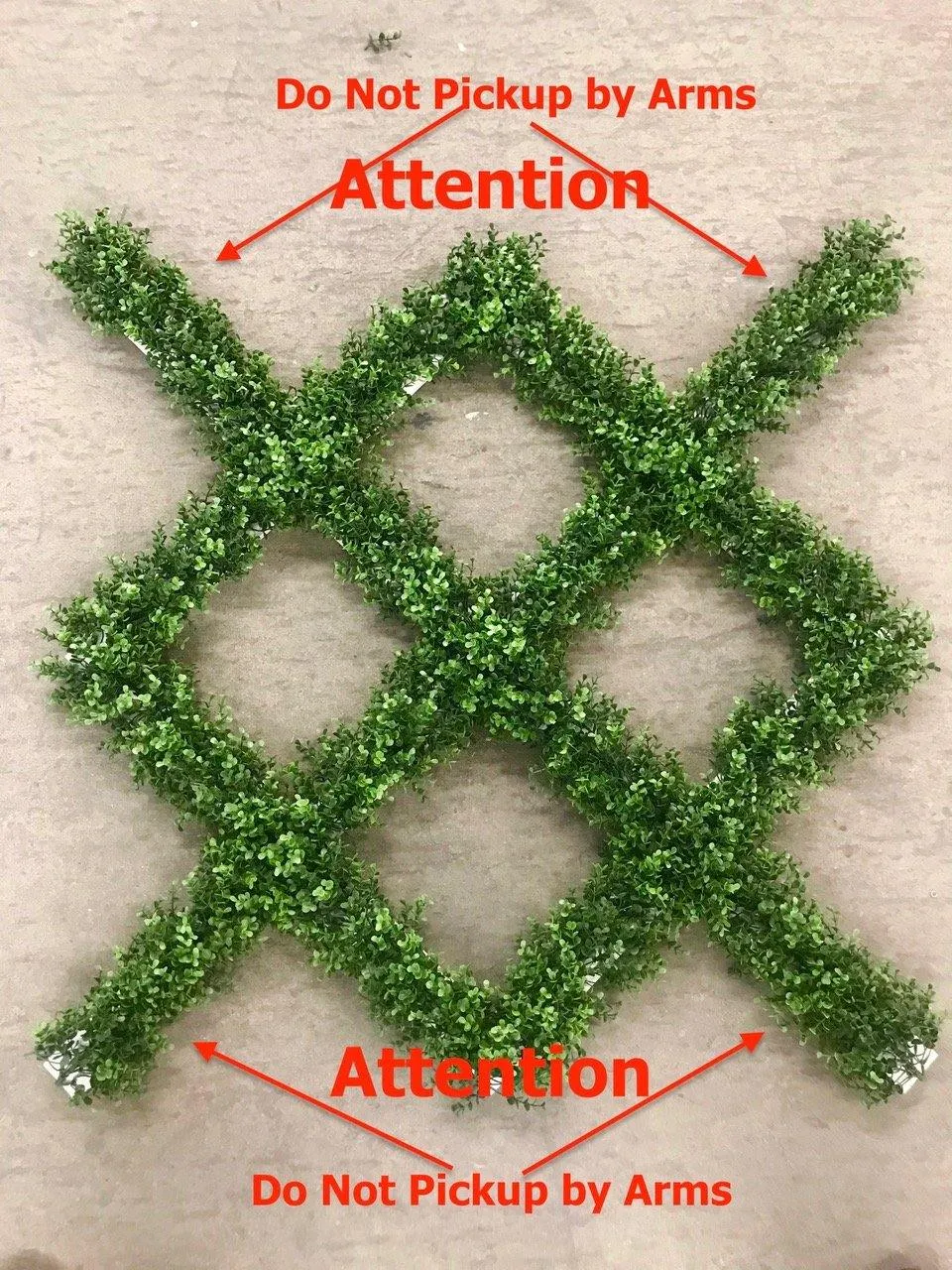 Ligustrum (Holly Leaf) Garden Trellis 42"