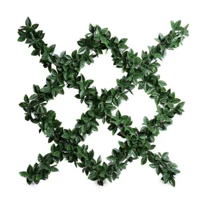 Ligustrum (Holly Leaf) Garden Trellis 42"